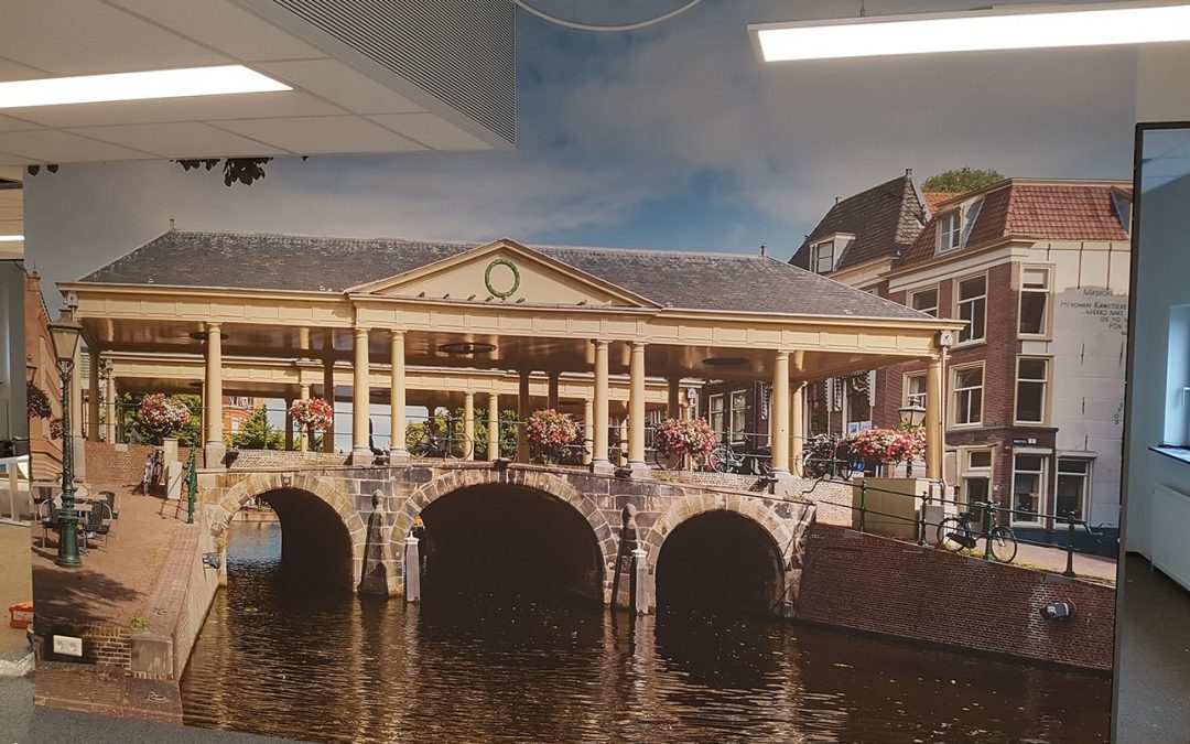 GGZ Leiden